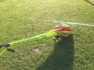 TDR2 u. Goblin770_1