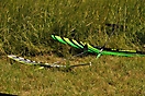 F3K-Bewerb 2023_68