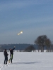 Schneefliegen