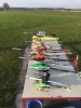 Schöner Flug Abend _1