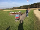 allgemeines Fliegen _2