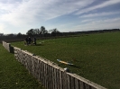 allgemeines Fliegen _3